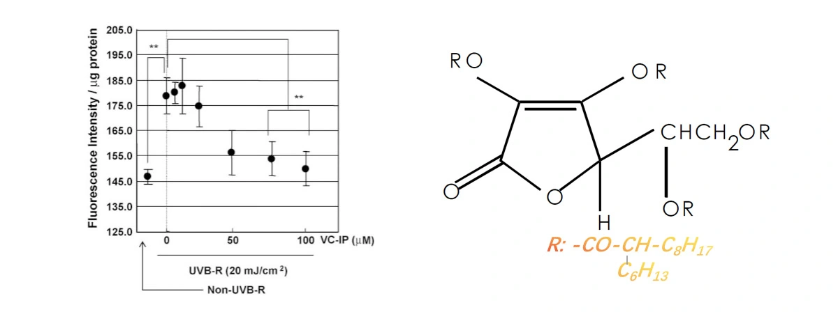 Ascorbyl Tetraisopalmitate Sale.jpg